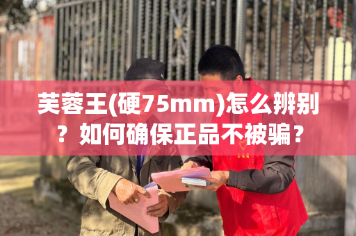 芙蓉王(硬75mm)怎么辨别？如何确保正品不被骗？